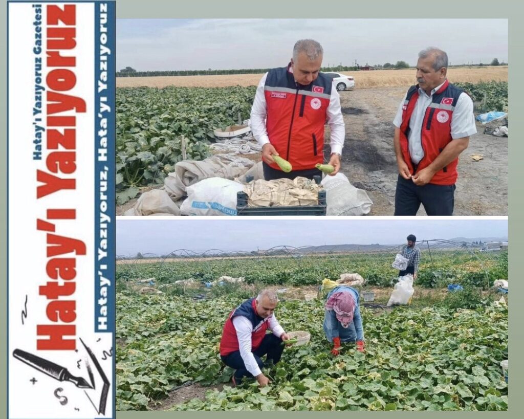 TÜRKMEN’DEN KABAK HASADI YAPAN ÜRETİCİLERE ZİYARET