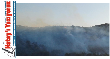 HATAY’DA ORMAN YANGINI