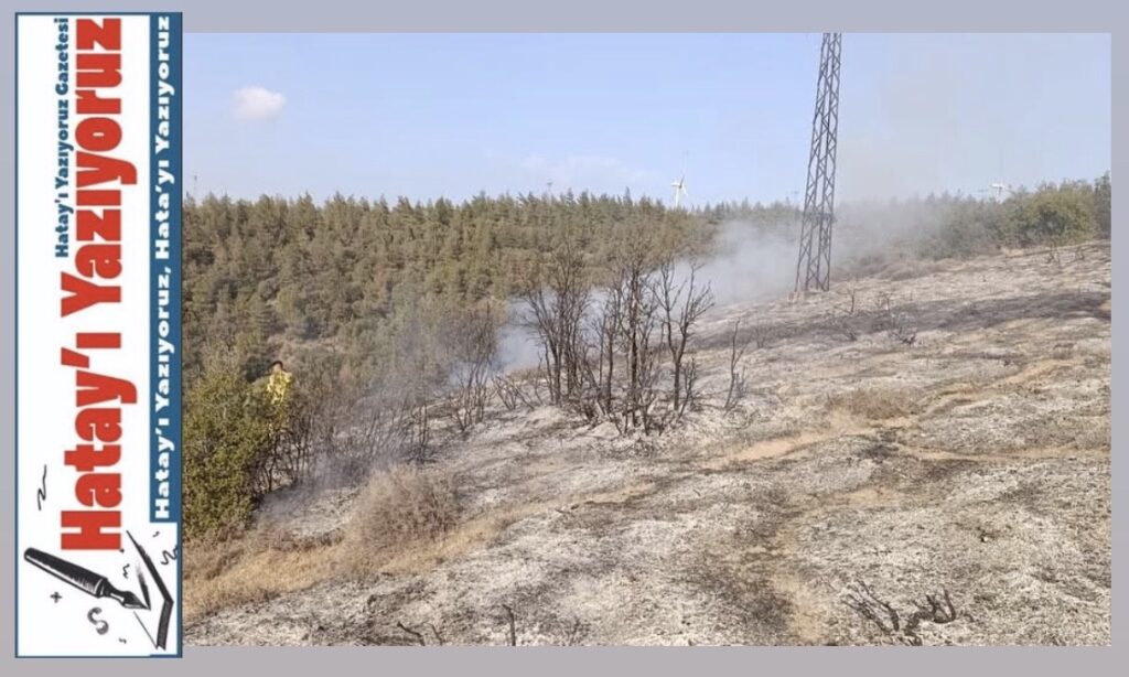 BELEN’DE ORMAN YANGINI KONTROL ALTINA ALINDI