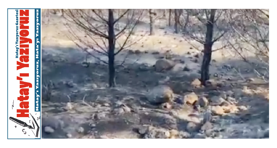 YANGIN SONRASI GÖRÜNTÜ İÇLER ACISI!