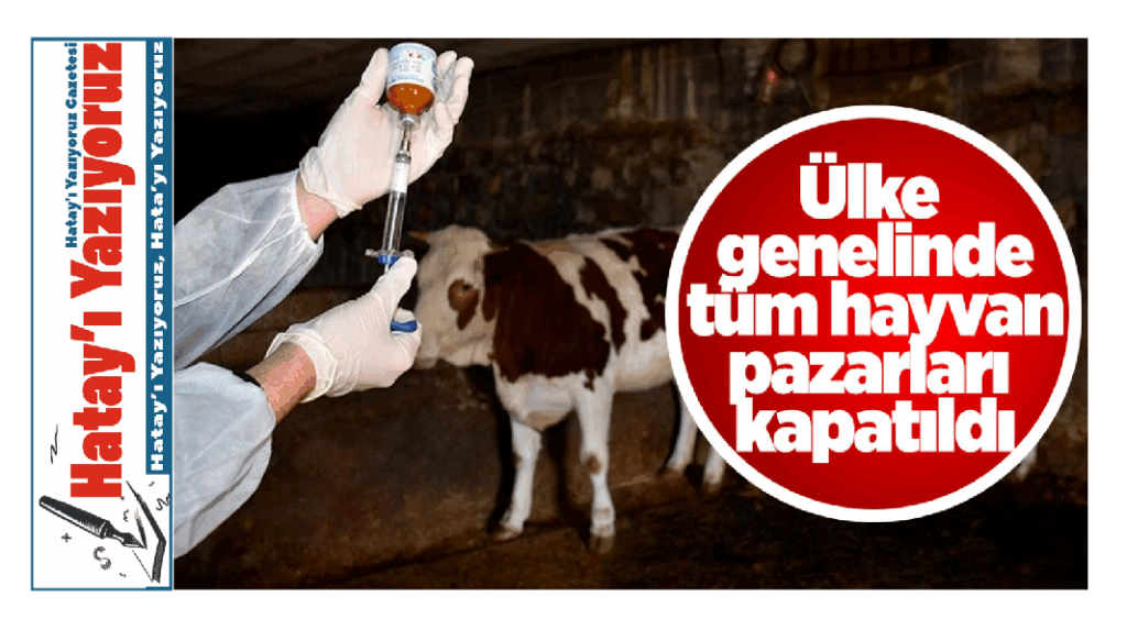 ŞAP HASTALIĞI, TÜRKİYE’DEKİ HAYVAN PAZARLARINI VURDU