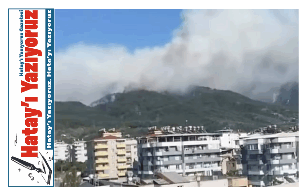 BU KEZ YANGININ ADRESİ DÖRTYOL MAALESEF