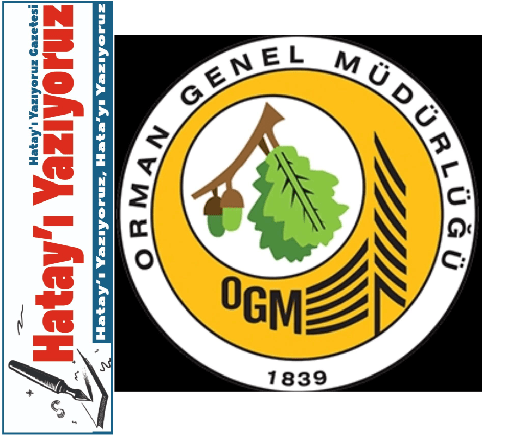 ORMAN İŞLETME MÜDÜRLÜĞÜ GEÇİCİ ORMAN İŞÇİLERİNİ DAĞ KÖYLERİNDEN ALMALI