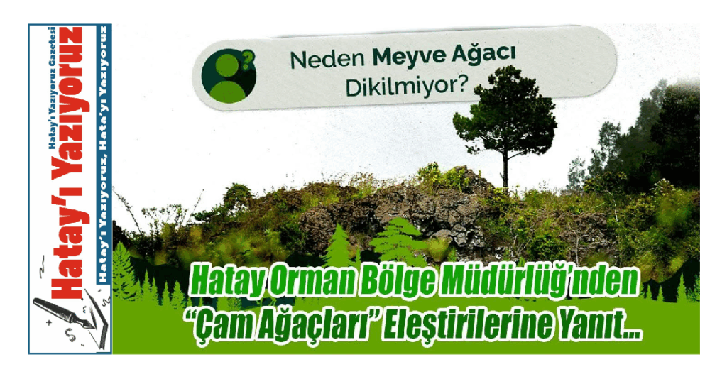 “ÇAM AĞAÇLARI” ELEŞTİRİLERİNE YANIT…