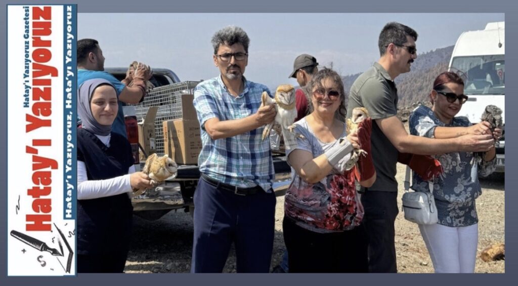MKÜ’DE TEDAVİLERİ TAMAMLANAN 13 YABANİ KUŞ DOĞAYA SALINDI