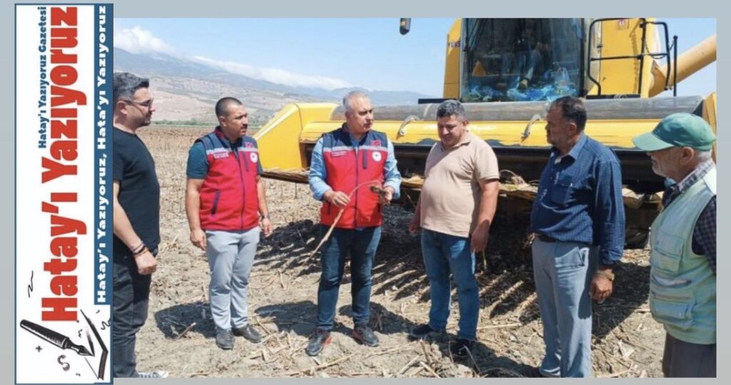 KIRIKHAN’DA AYÇİÇEĞİ HASADI BAŞLADI