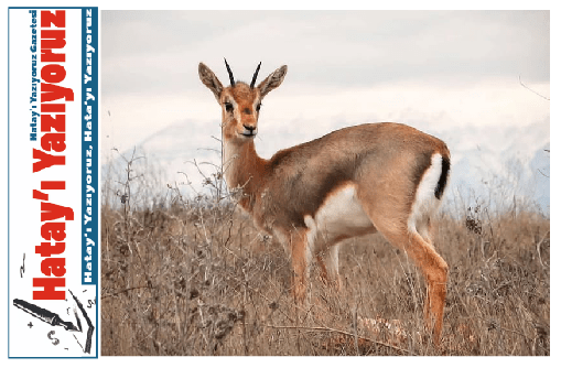 TARIM VE ORMAN BAKANLIĞI PAYLAŞTI