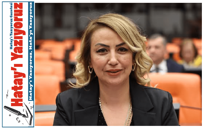 KARA: “ORMANLARI GÖZDEN ÇIKARDINIZ, ALTIYLA ÜSTÜYLE ŞİRKETLERE TESLİM ETTİNİZ”