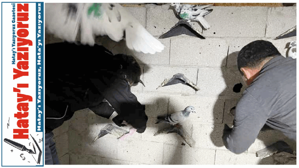 GÜVERCİN KÜMESİNDE UYUŞTURUCU BULUNDU