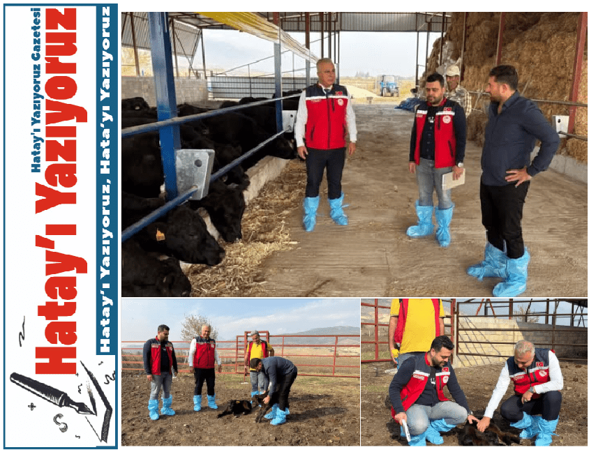 HATAY’DA “KIRSALDA BEREKET” PROJESİYLE İLK TESLİMATLAR BAŞLADI