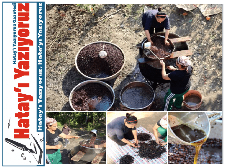 HATAY’IN BEREKETLİ TOPRAKLARINDA GELENEKSEL DEFNE YAĞI ÜRETİMİ SÜRÜYOR